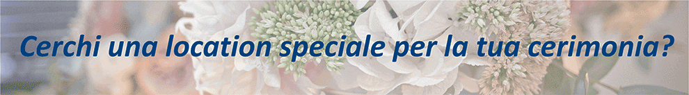 soffart-animazione