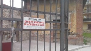 terni divieto cani