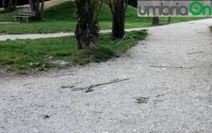 Percorso Verde Perugia danni da maltempo 4