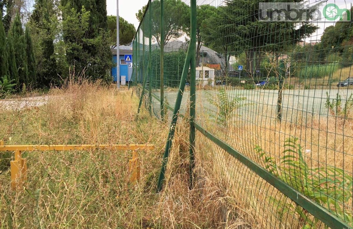 Degrado, erba alta e incendio Geometri, viale Trieste - 17 agosto 2016 (15)