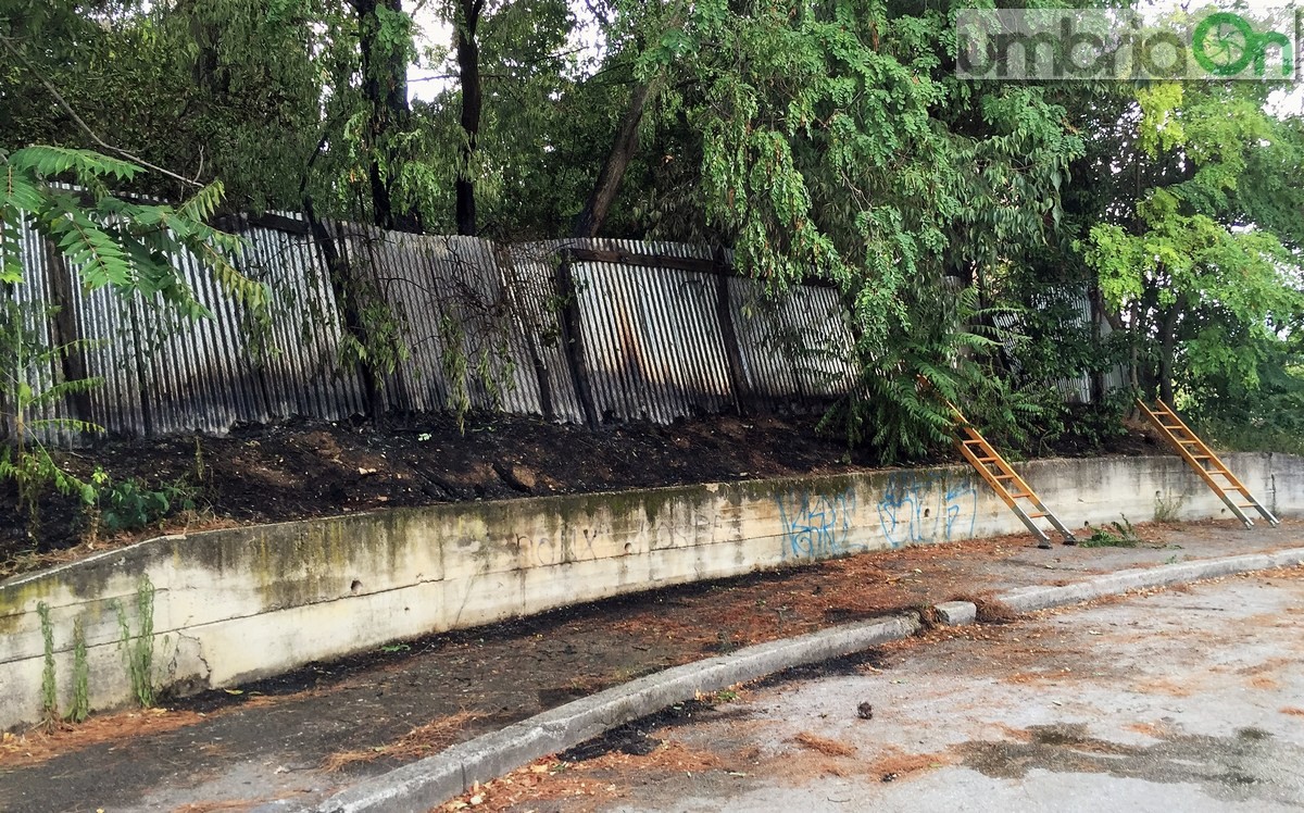 Degrado, erba alta e incendio Geometri, viale Trieste - 17 agosto 2016 (18)