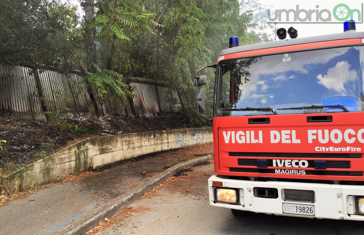 Degrado, erba alta e incendio Geometri, viale Trieste - 17 agosto 2016 (2)