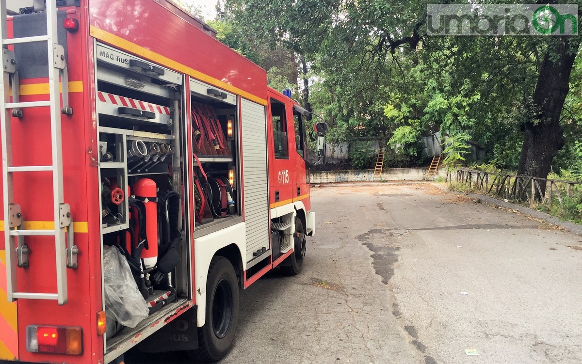 Degrado, erba alta e incendio Geometri, viale Trieste - 17 agosto 2016 (20)