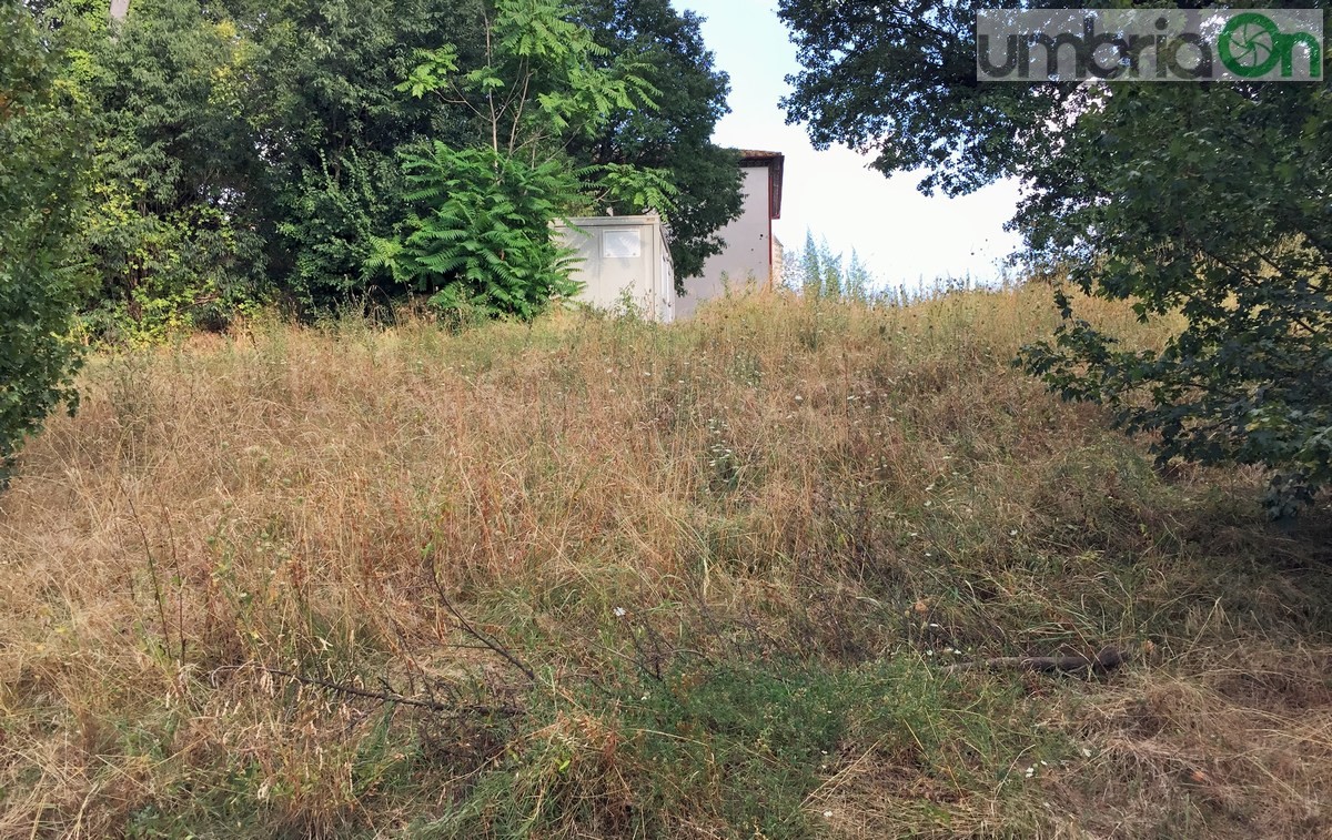 Degrado, erba alta e incendio Geometri, viale Trieste - 17 agosto 2016 (21)