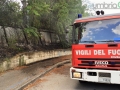 Degrado, erba alta e incendio Geometri, viale Trieste - 17 agosto 2016 (2)