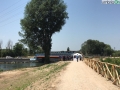 Tevere Nera Terni fiume (fra) (18)