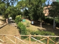 Tevere Nera Terni fiume (fra) (2)