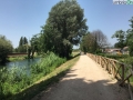 Tevere Nera Terni fiume (fra) (22)