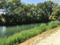 Tevere Nera Terni fiume (fra) (5)