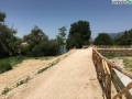Tevere Nera Terni fiume (fra) (6)