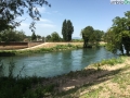 Tevere Nera Terni fiume (fra) (9)