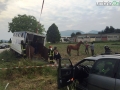 incidente campore terni3 cavallo cavalli