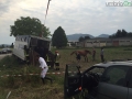 incidente campore terni4 cavallo cavalli