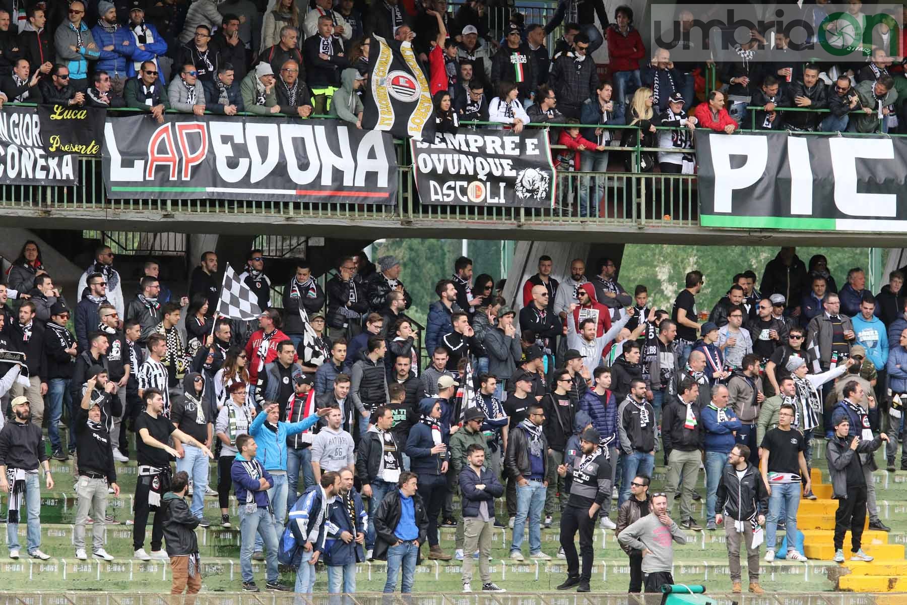 Ternana-Ascoli (Foto A (1)