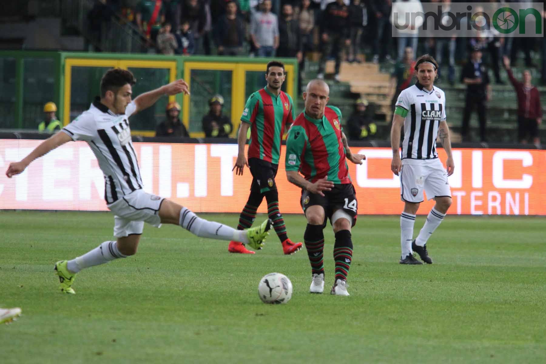 Ternana-Ascoli (Foto A (10)