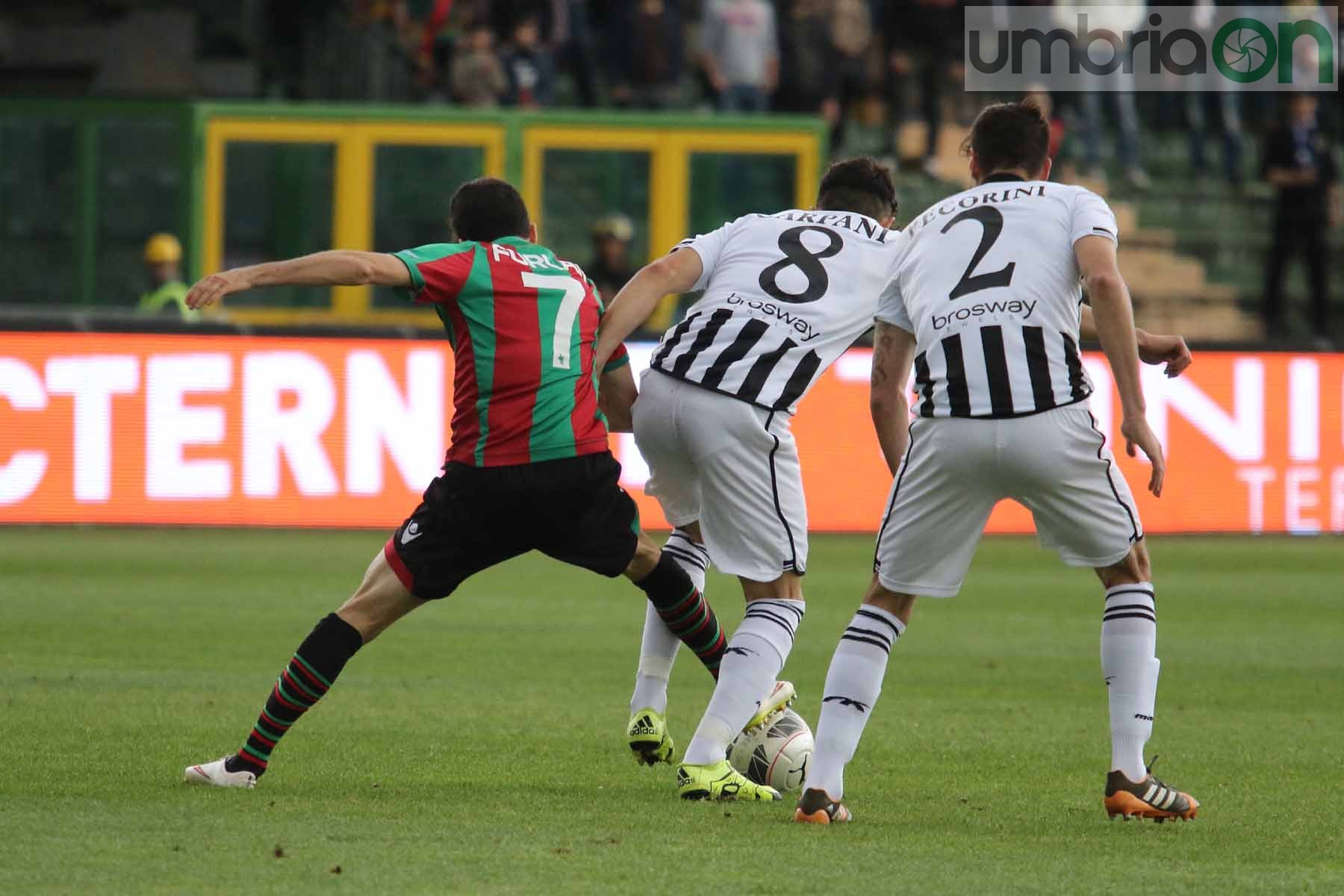 Ternana-Ascoli (Foto A (11)