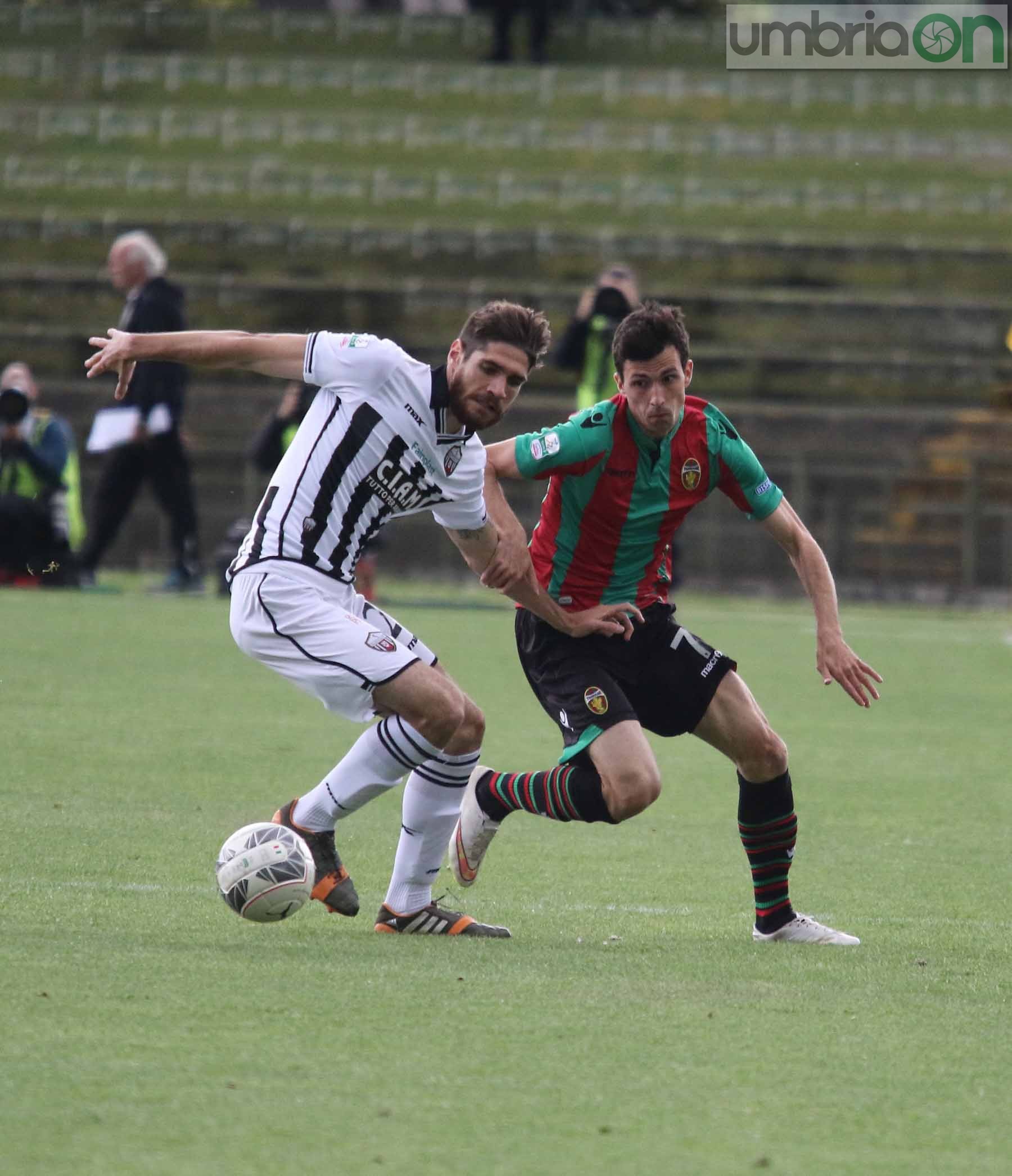 Ternana-Ascoli (Foto A (12)