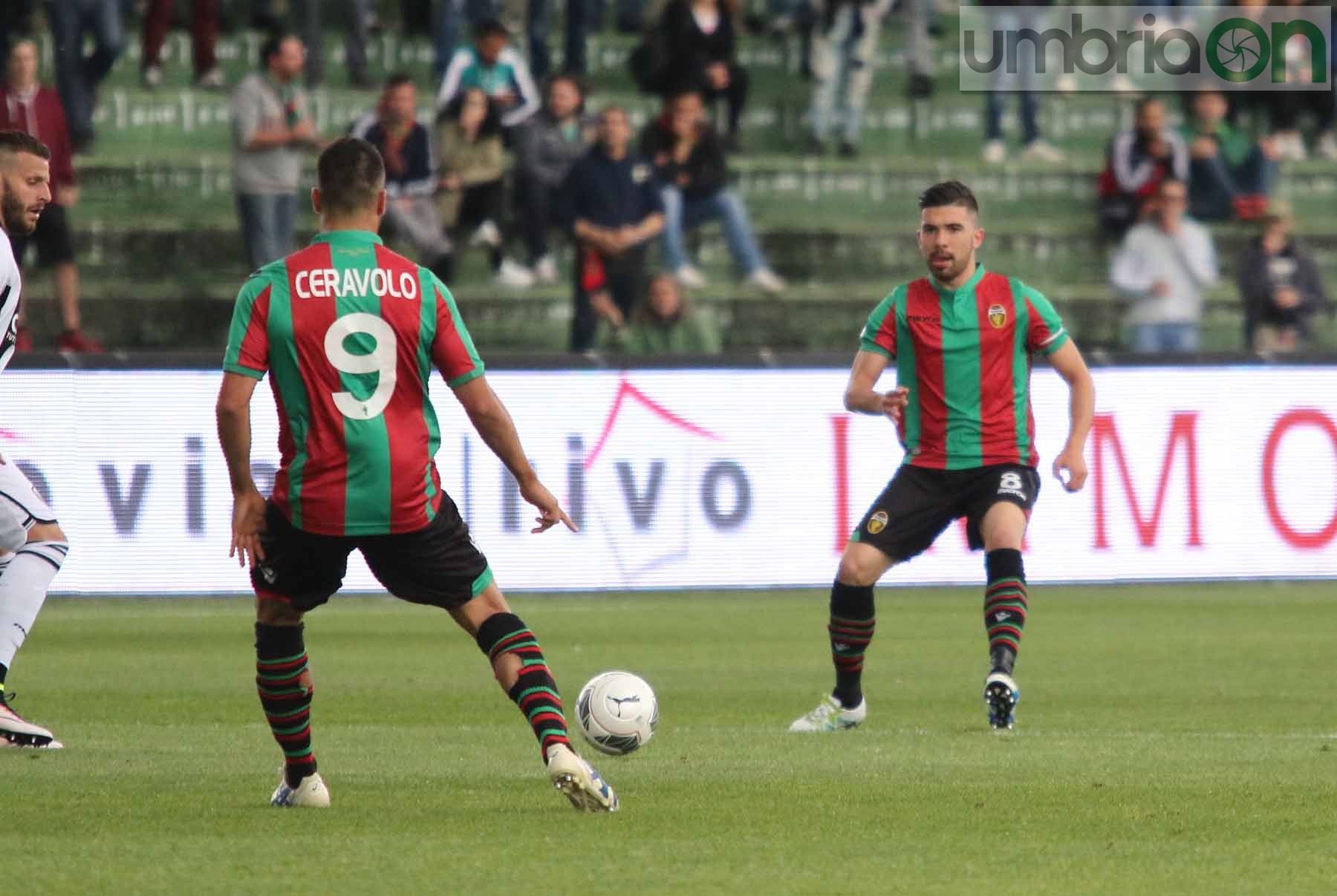 Ternana-Ascoli (Foto A (14)