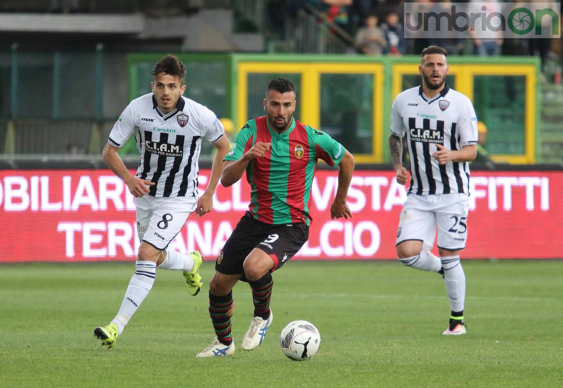 Ternana-Ascoli (Foto A (15)