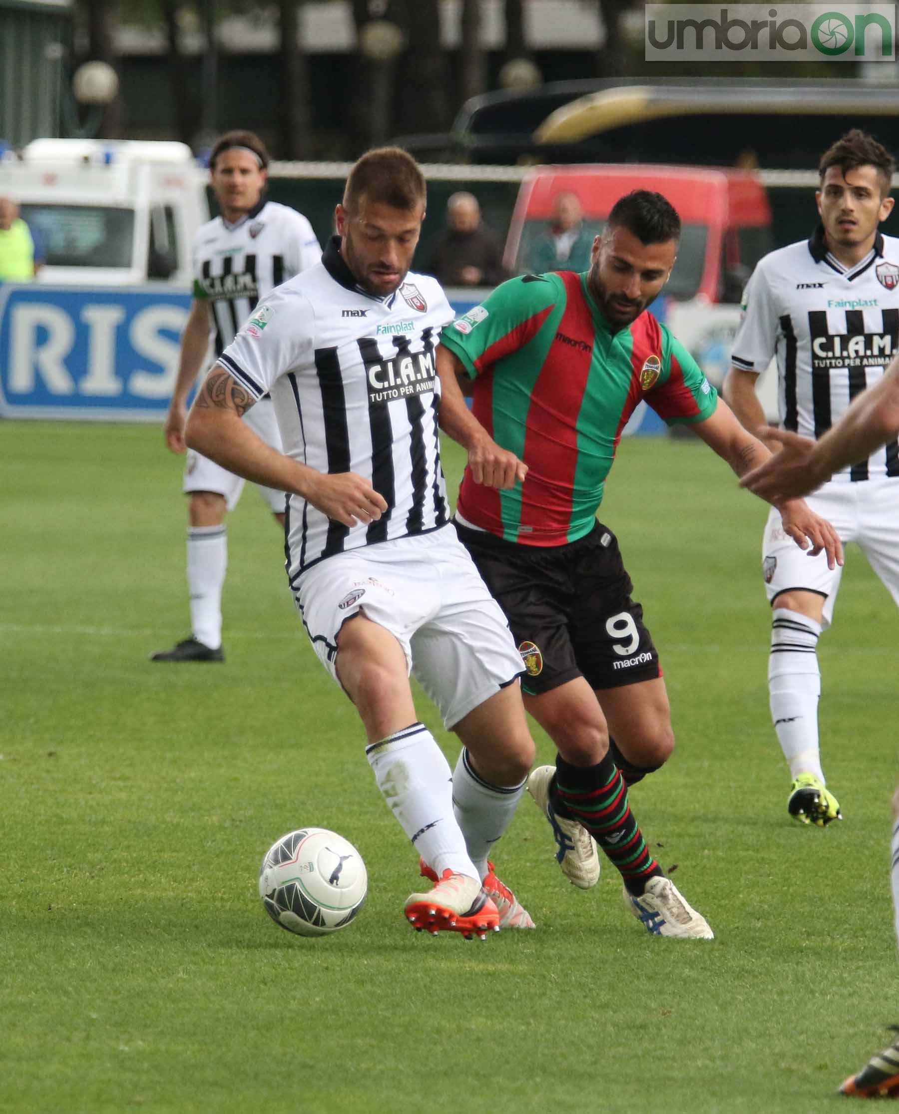 Ternana-Ascoli (Foto A (16)