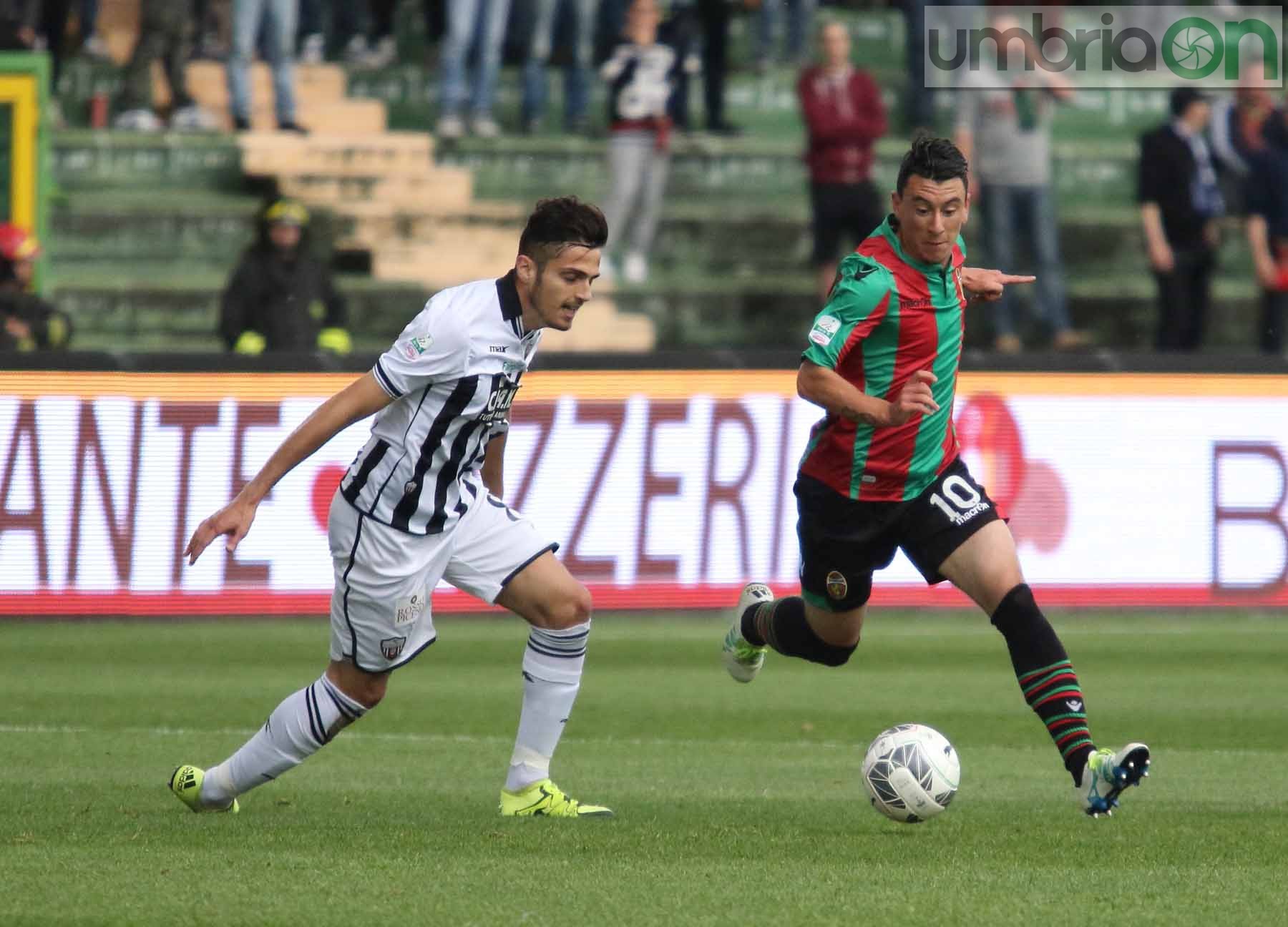 Ternana-Ascoli (Foto A (17)