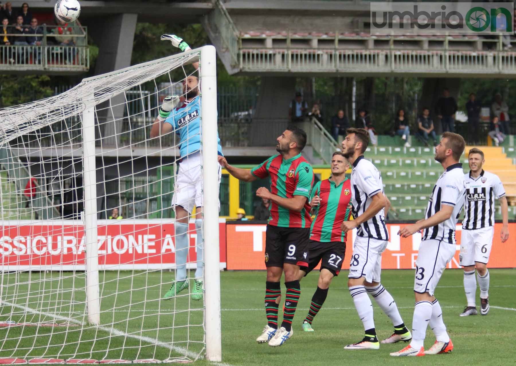 Ternana-Ascoli (Foto A (18)