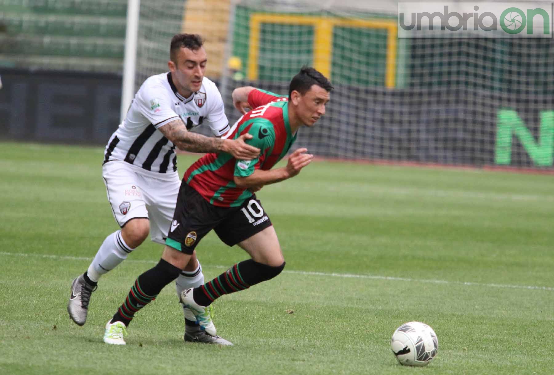 Ternana-Ascoli (Foto A (20)