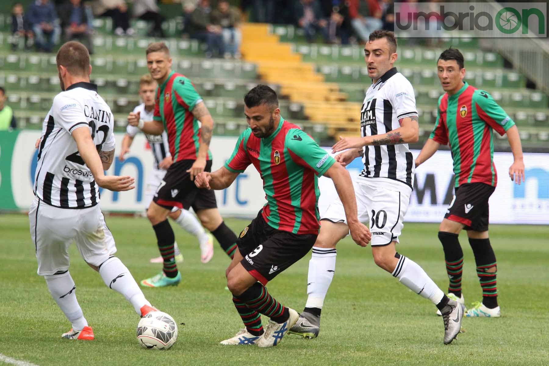 Ternana-Ascoli (Foto A (21)