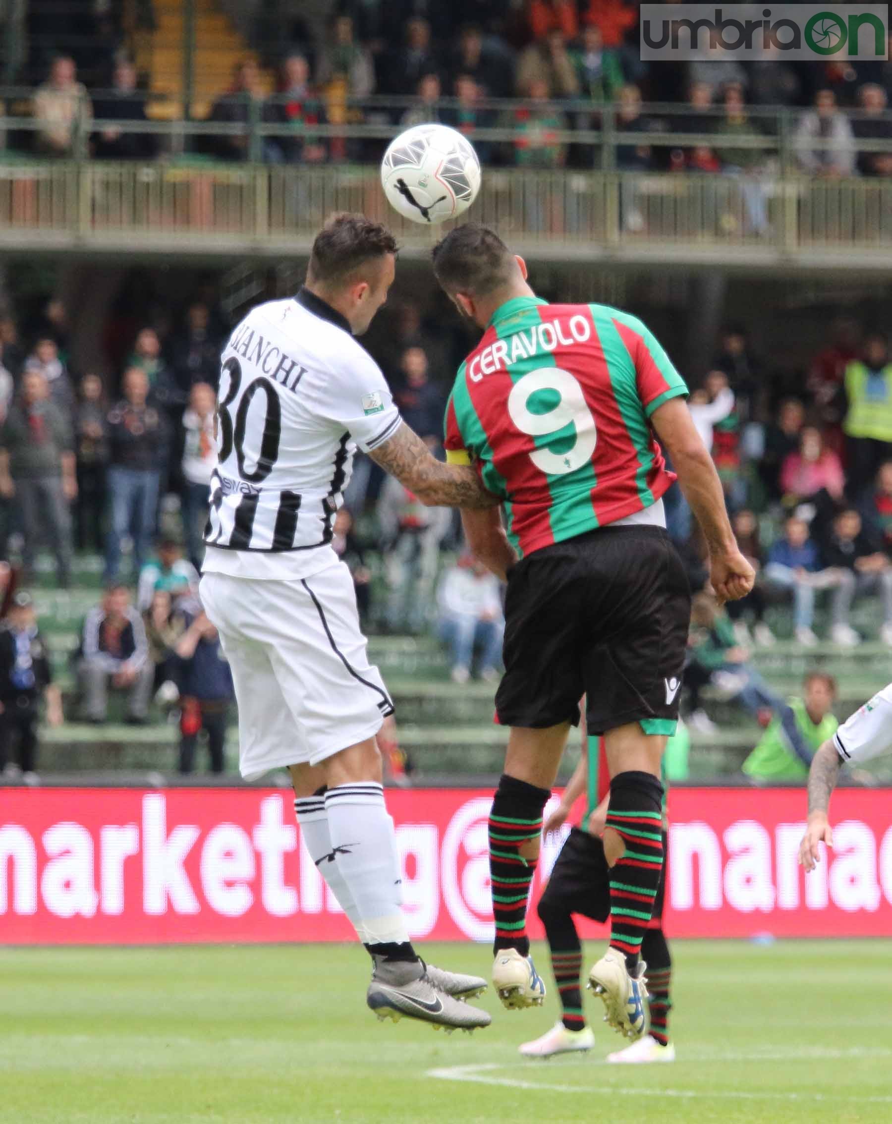 Ternana-Ascoli (Foto A (22)