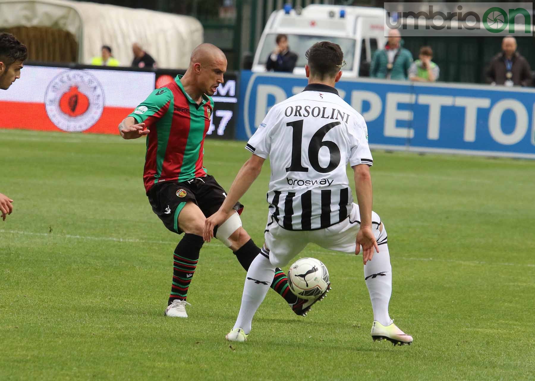 Ternana-Ascoli (Foto A (24)