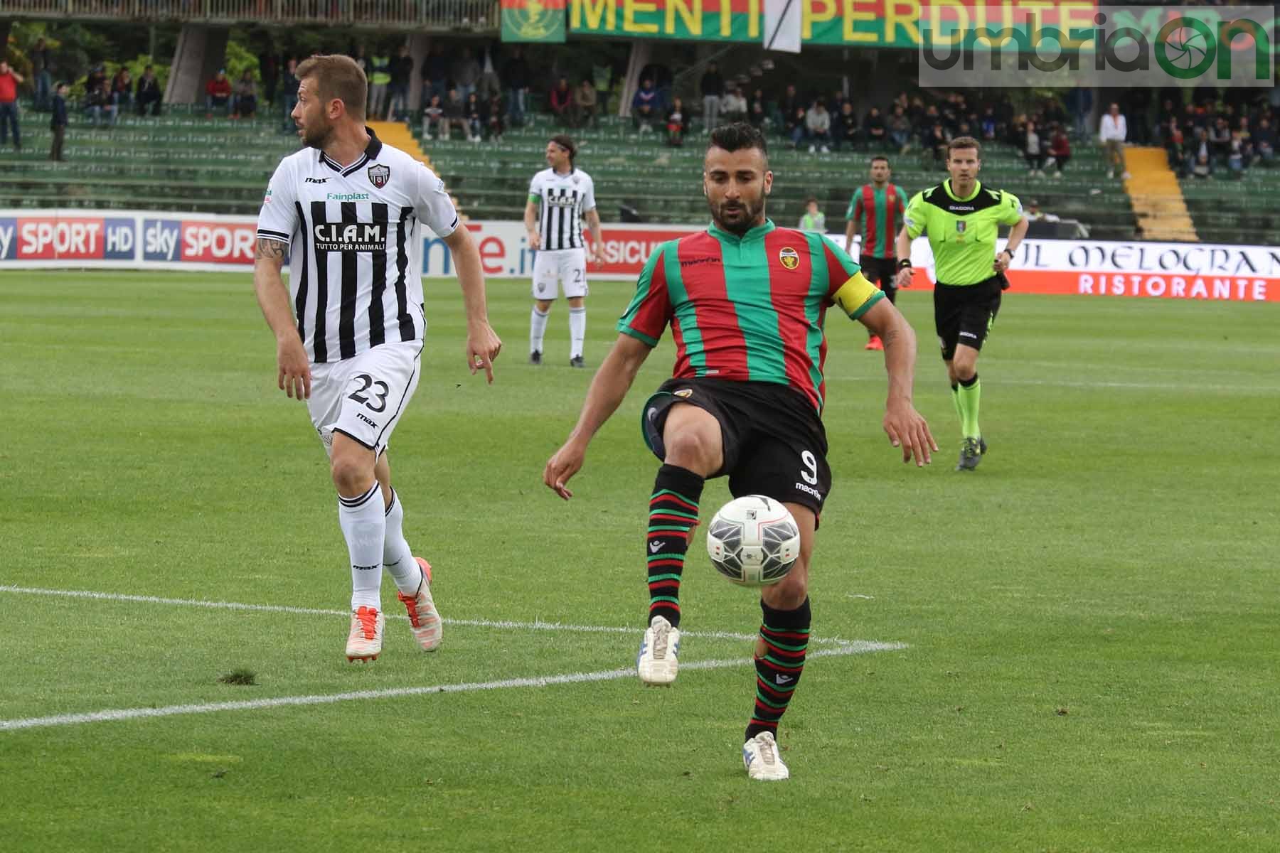 Ternana-Ascoli (Foto A (28)