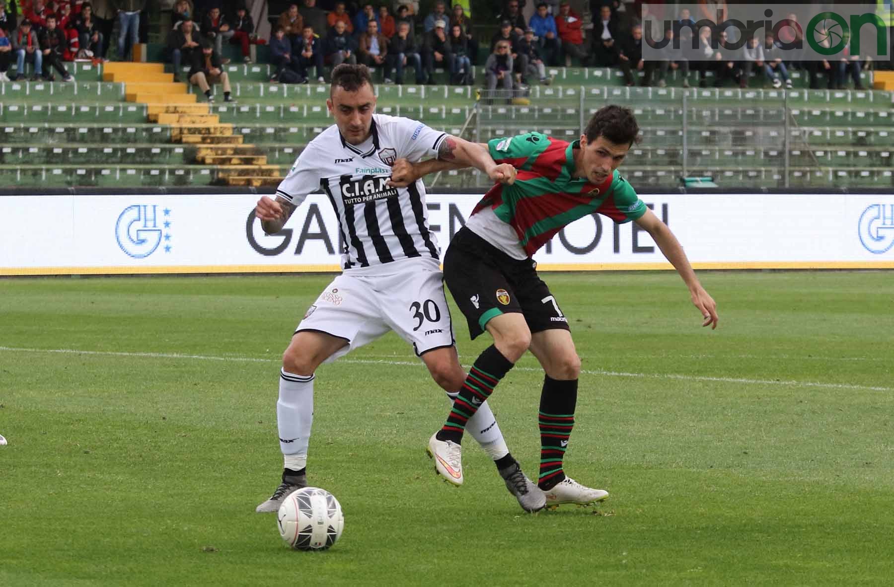 Ternana-Ascoli (Foto A (29)