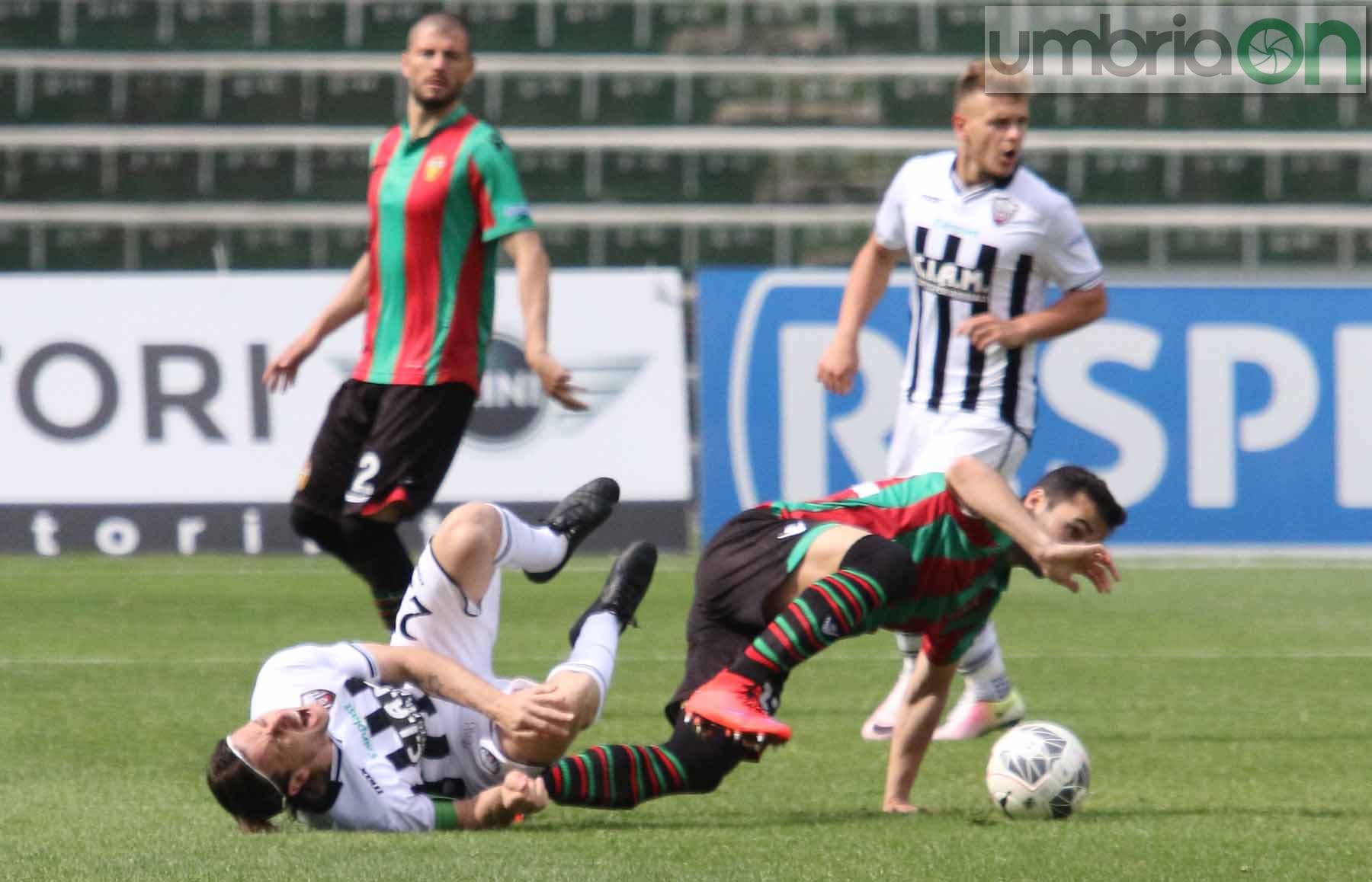 Ternana-Ascoli (Foto A (31)