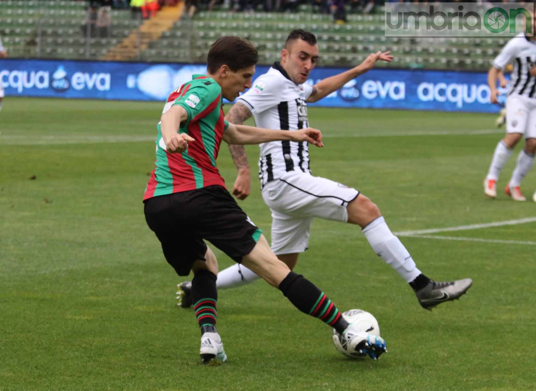 Ternana-Ascoli (Foto A (32)