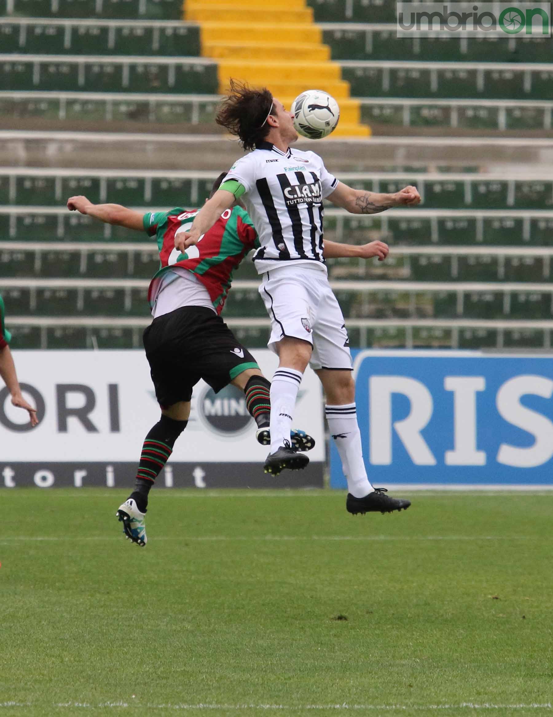 Ternana-Ascoli (Foto A (33)