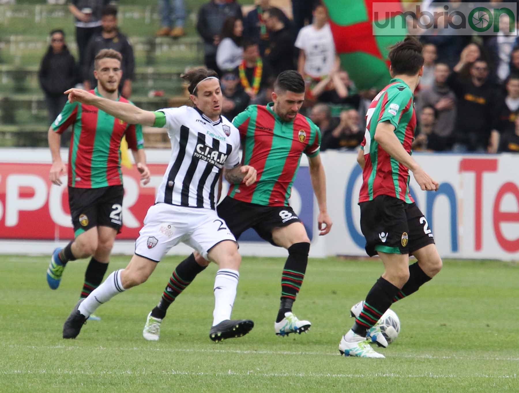 Ternana-Ascoli (Foto A (34)