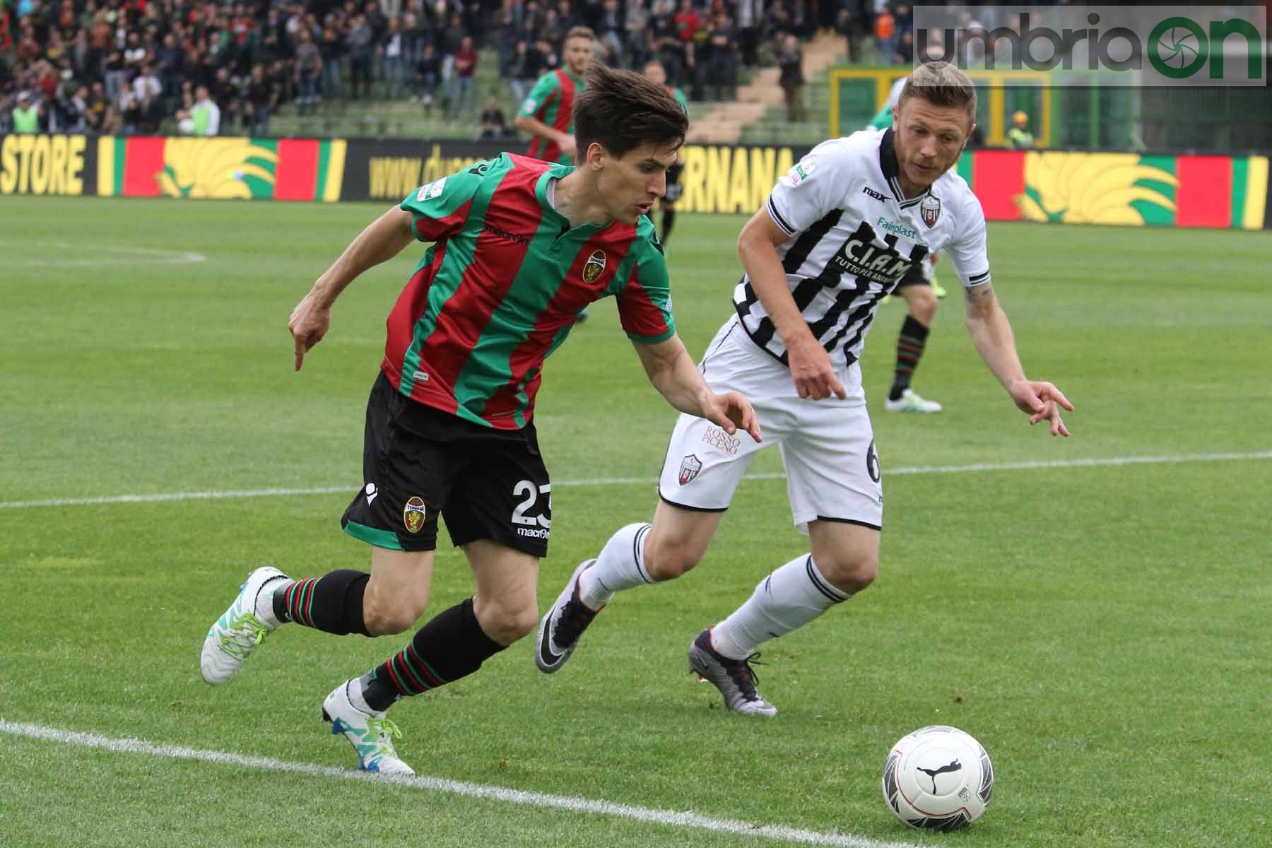 Ternana-Ascoli (Foto A (35)