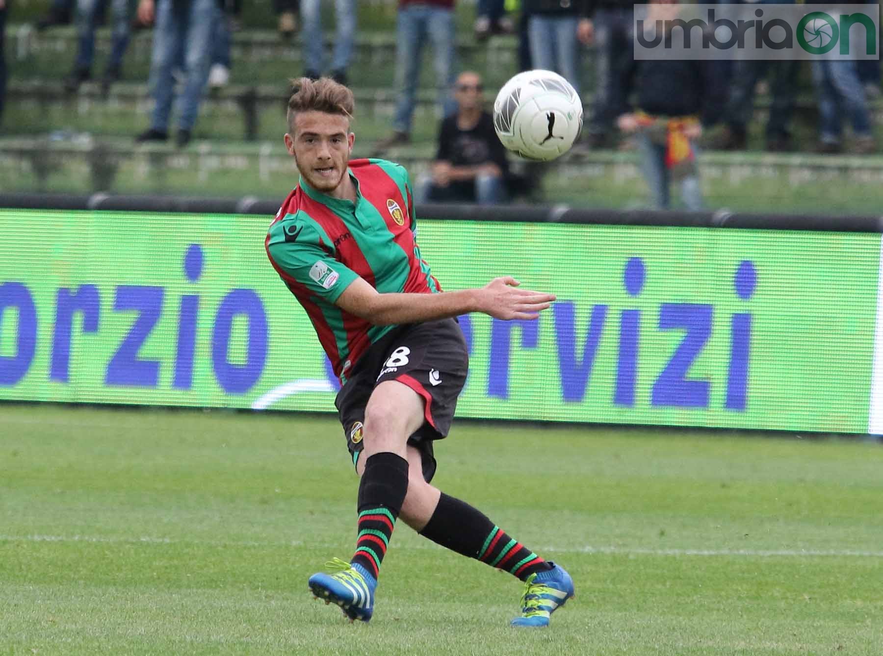 Ternana-Ascoli (Foto A (36)