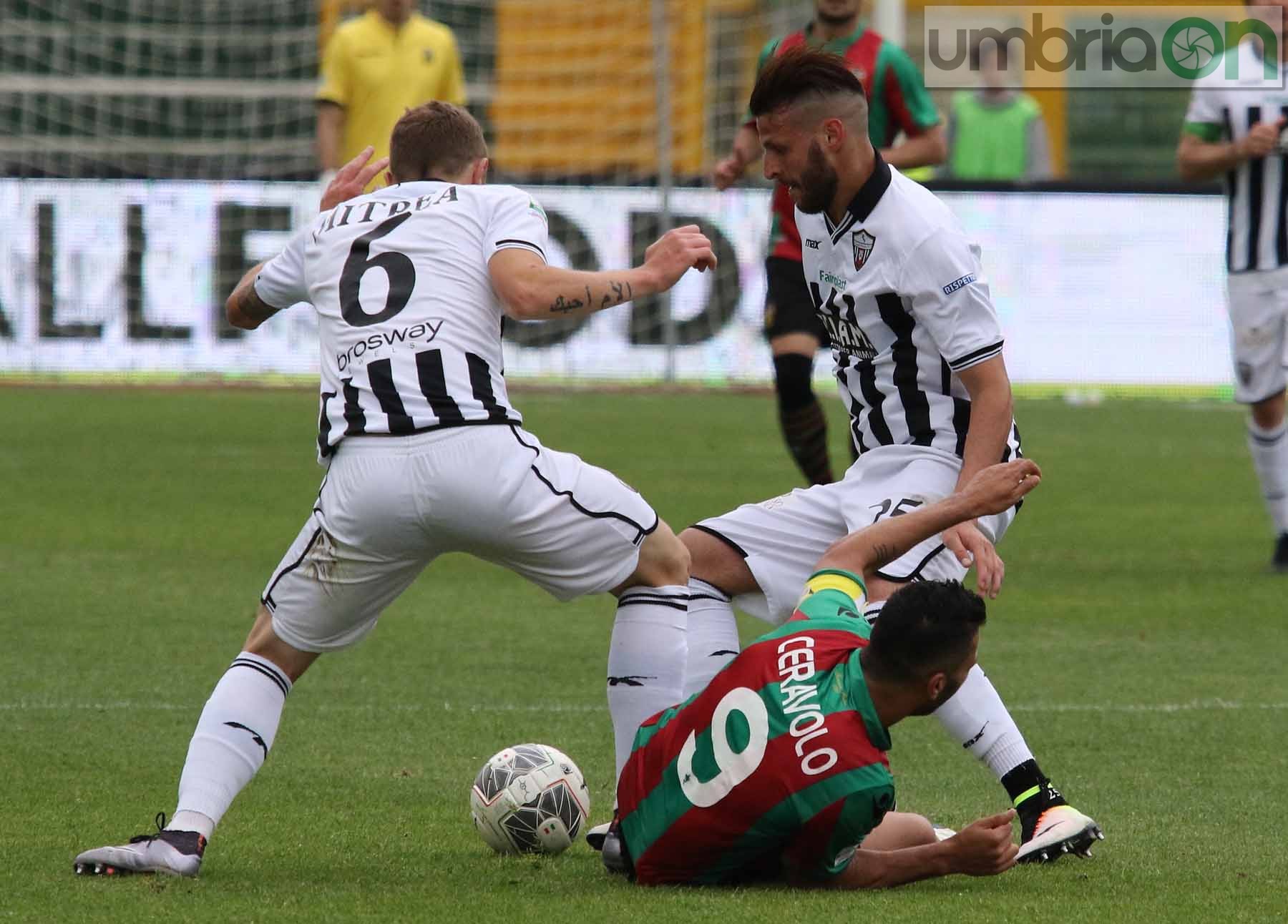 Ternana-Ascoli (Foto A (37)