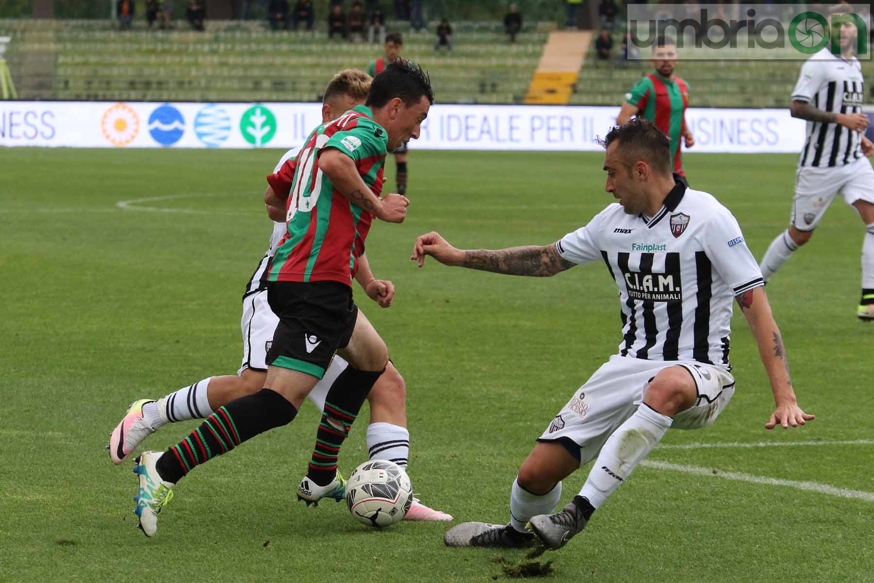 Ternana-Ascoli (Foto A (40)