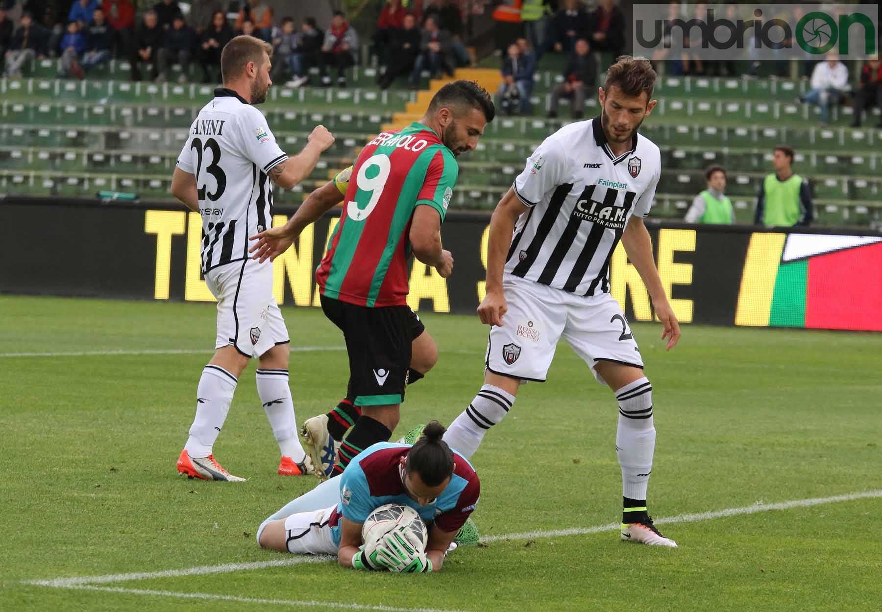 Ternana-Ascoli (Foto A (41)