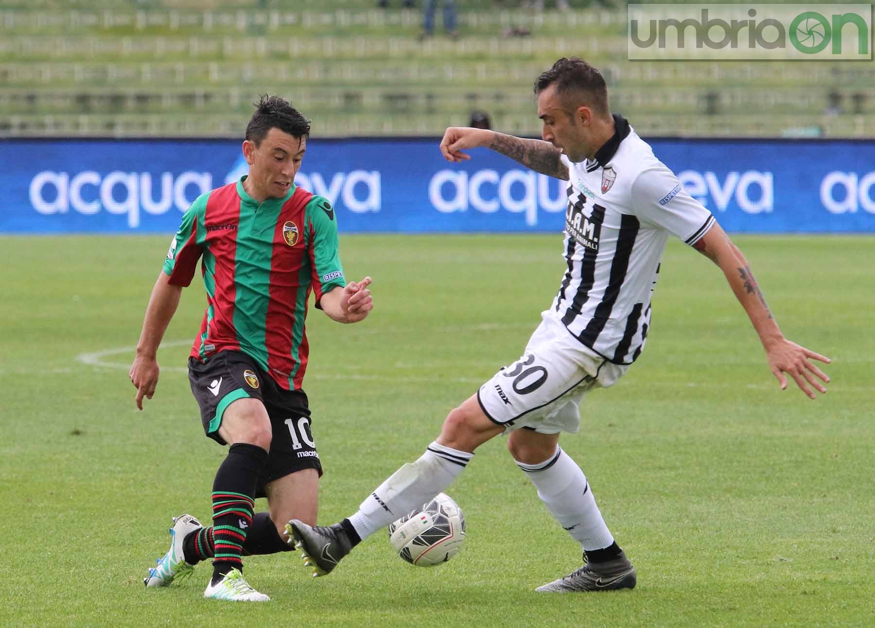 Ternana-Ascoli (Foto A (46)