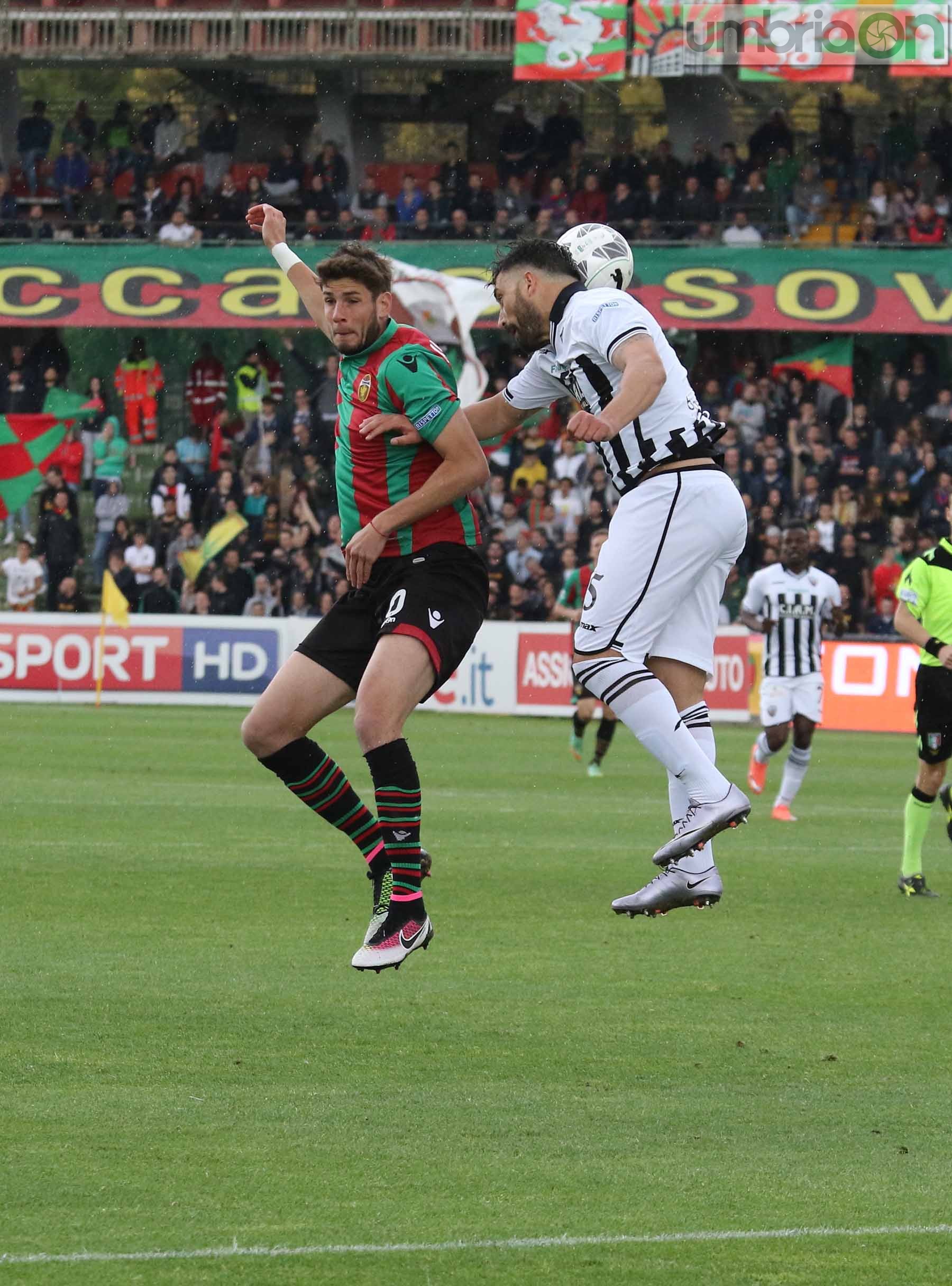 Ternana-Ascoli (Foto A (47)