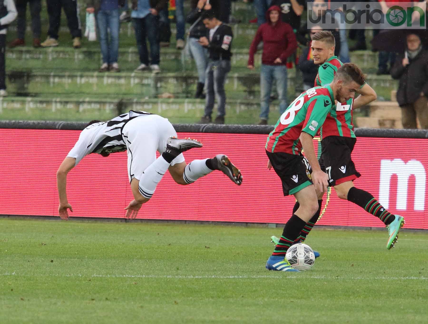 Ternana-Ascoli (Foto A (48)