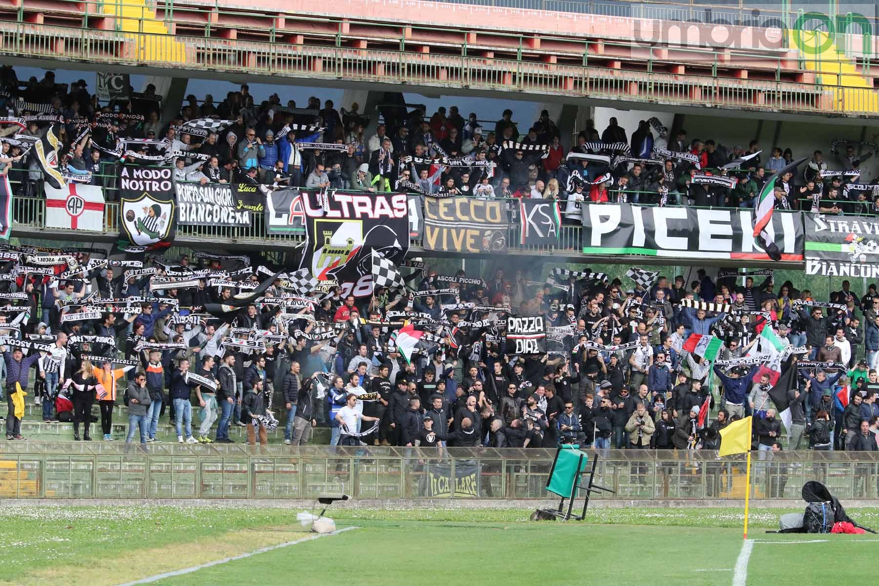 Ternana-Ascoli (Foto A (5)