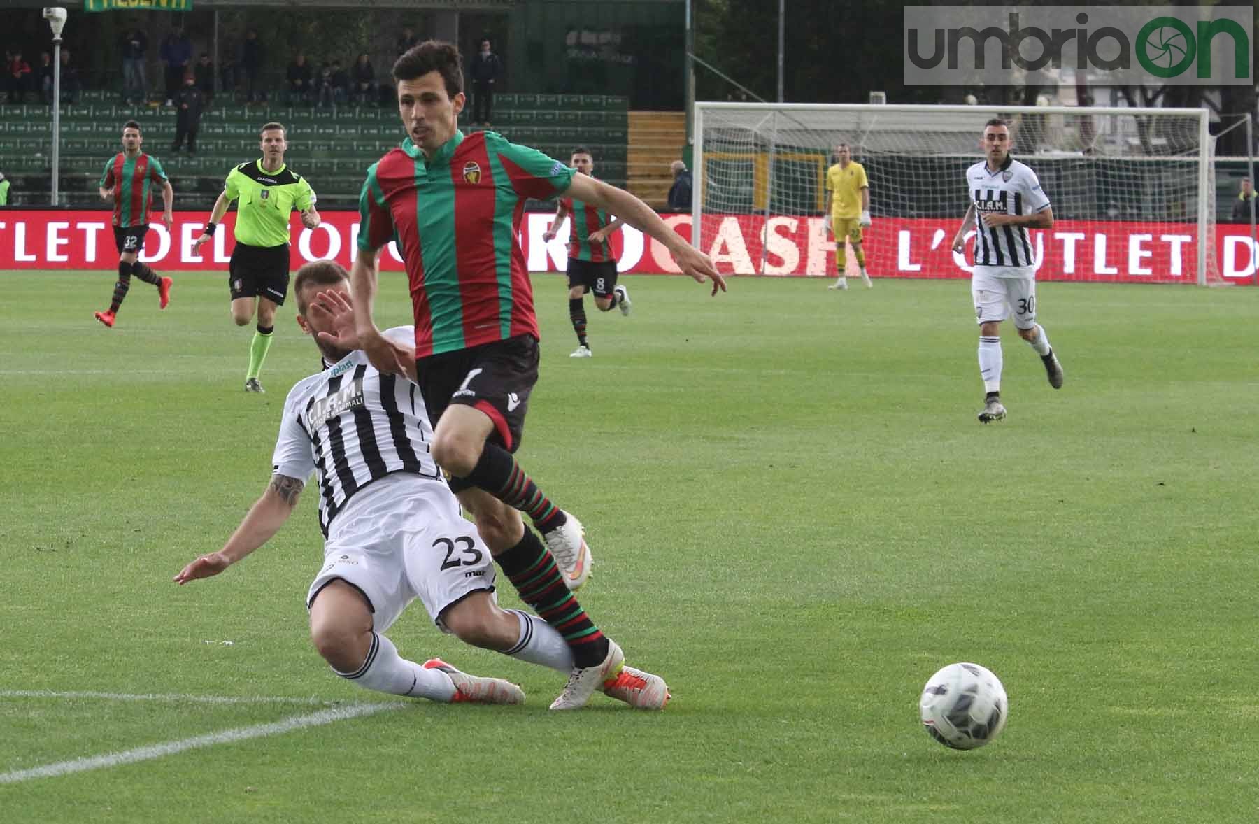 Ternana-Ascoli (Foto A (8)