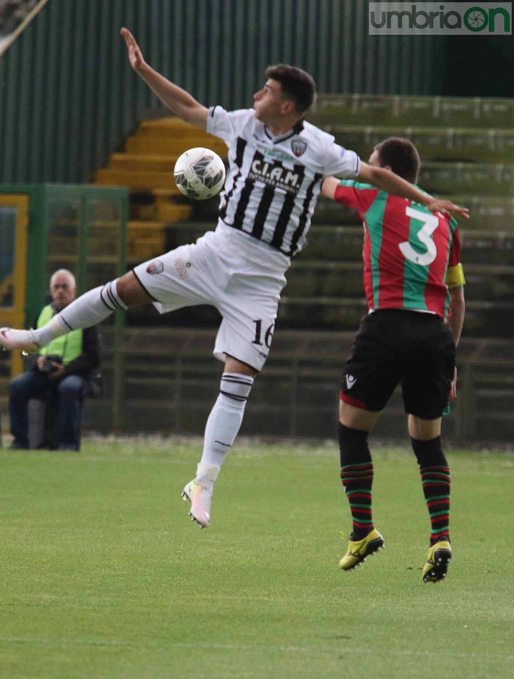 Ternana-Ascoli (Foto A (9)