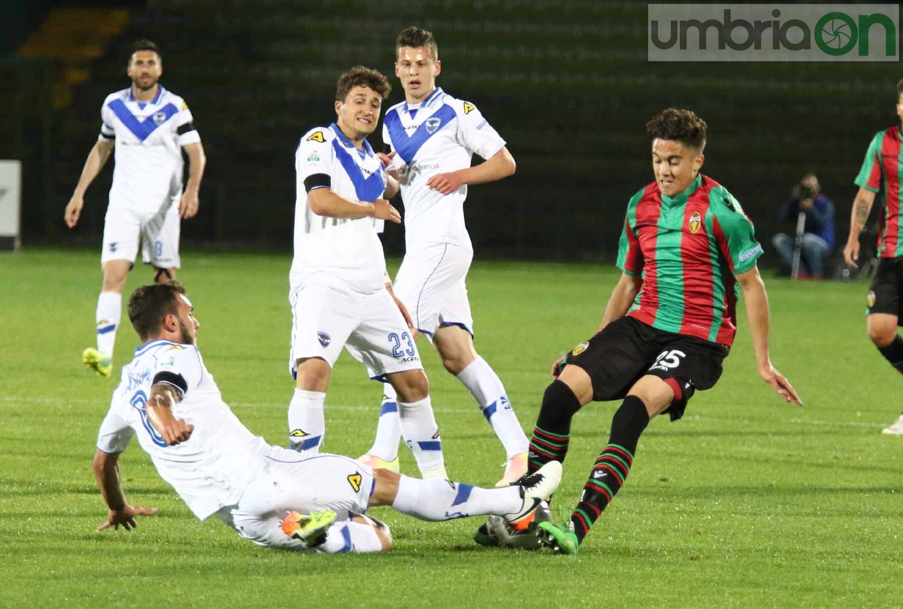 Ternana-Brescia Foto A (15)