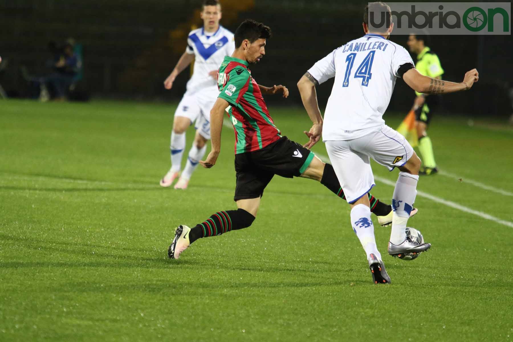 Ternana-Brescia Foto A (3)