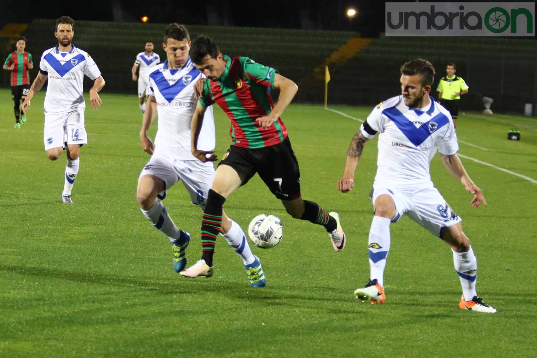 Ternana-Brescia Foto A (4)